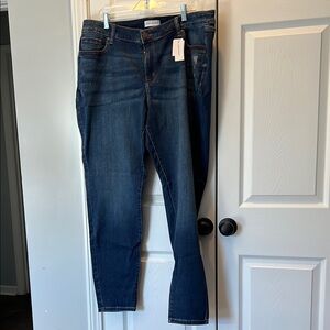 Lane Bryant Blue Skinny Jeans